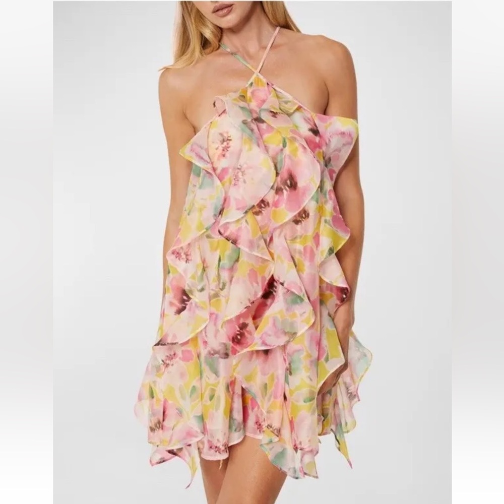 Misa Los Angeles Floral Ruffle Dress - Pink and Yellow